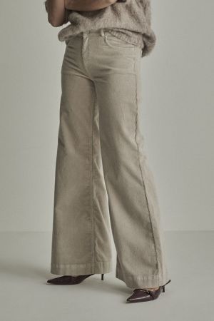  009 Ivory Grey