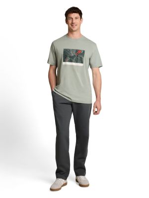  40582 iron mint